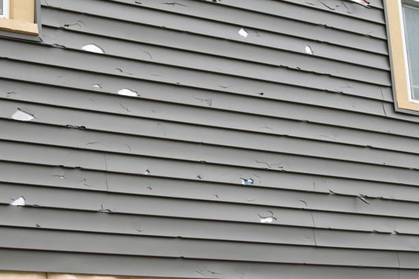Best Same-Day Junk Removal Services  in Benton, LA